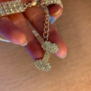 Rhinestone dog collar.